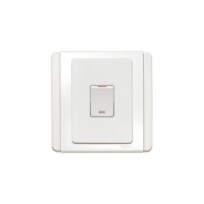 Công tắc 2 cực Schneider E3031DR45_WW